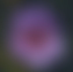 Problemas de tiroides y cómo tratarla.