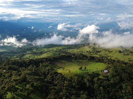 Image by Miguel Vargas