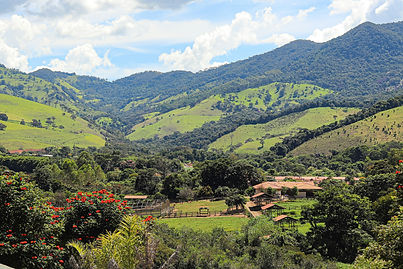 Image by Jean Carlos