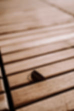 Image by Chintya Akemi Keirayuki