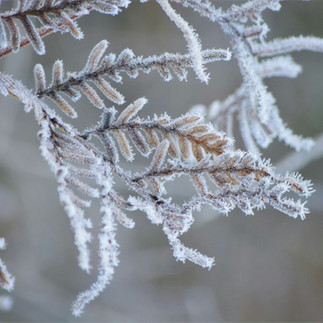 Imaginer des espaces plus favorables à la biodiversité