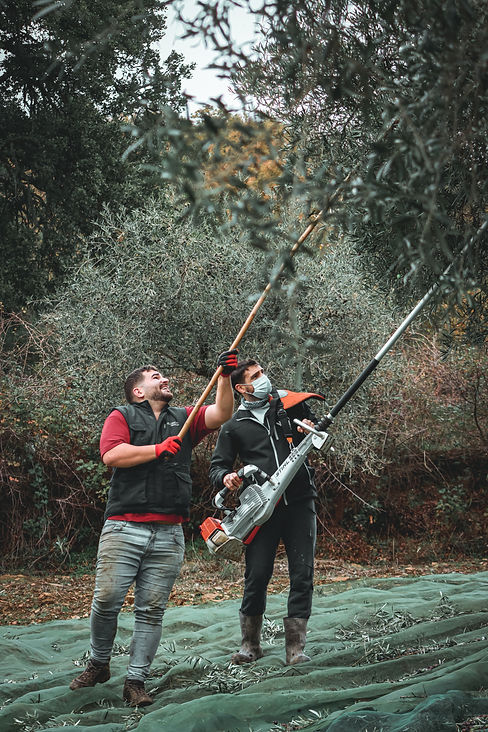 Image by Cristiano Valadar