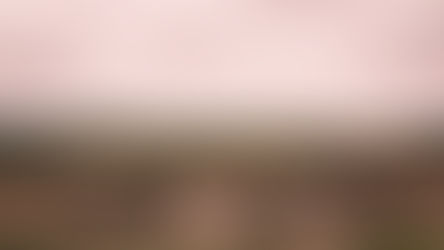 South Africa vs. Botswana: Which Safari is Right for You?