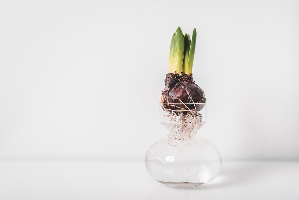 Image by Oscar Helgstrand