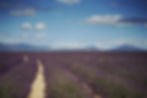 Voyager des États-Unis en Provence : guide pratique et astuces