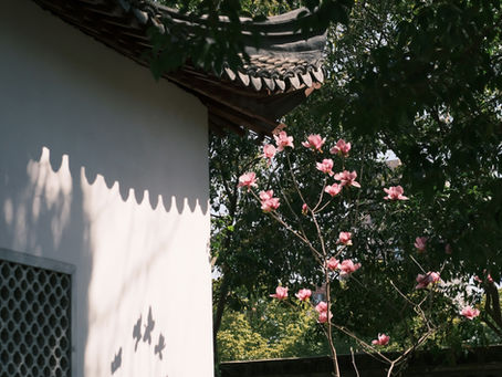 Tâm sự chuyện: Thầy thuốc và thuốc