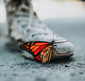 Image by Nathan Dumlao