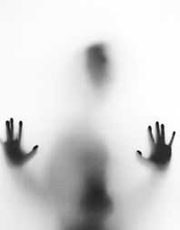 Image by Stefano Pollio