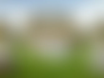 How to Handle Family Opinions When Planning a Small Wedding