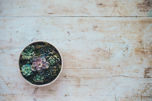 Image by Annie Spratt