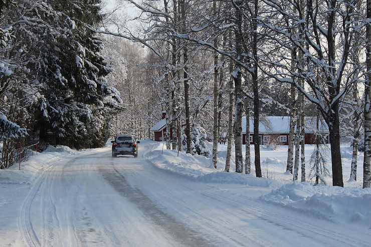 Image by Anne Nygård