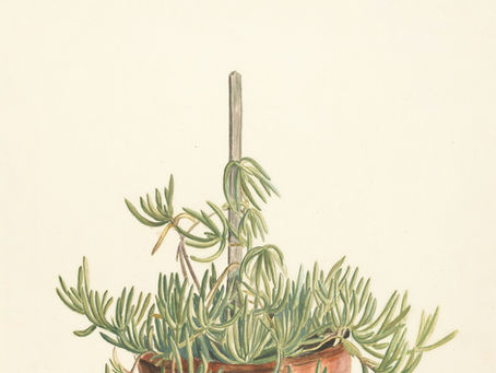 Recommandation de lecture n°6