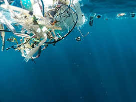 Image by Naja Bertolt Jensen