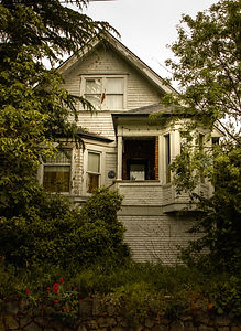 Image by Sonya Romanovska