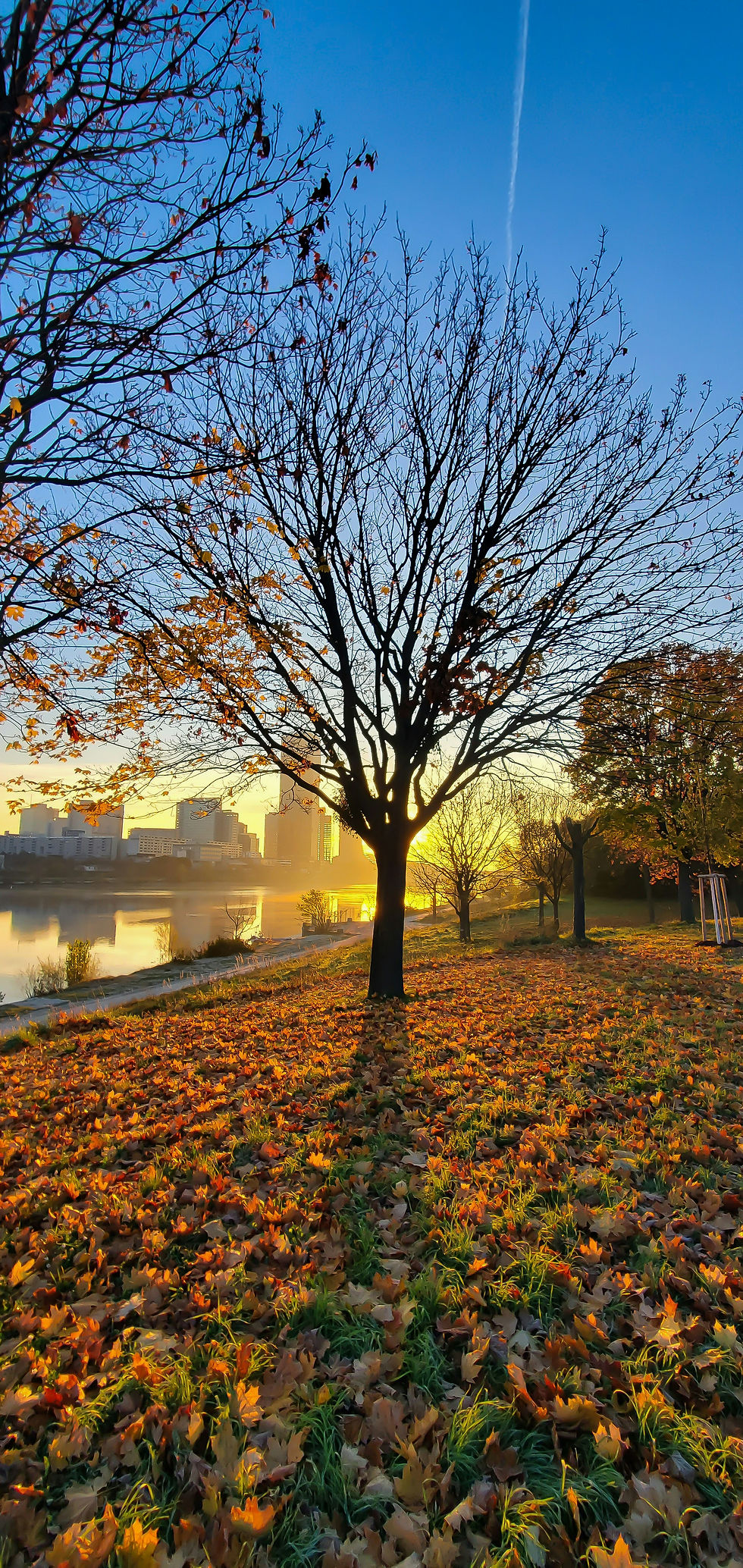 Latinx Best Seller List – November 2022