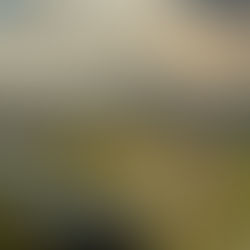 Essential Reasons Why FOG Removal is Critical