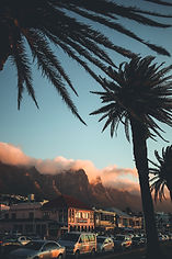 Image by Morgane Le Breton