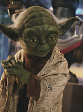 Yoda