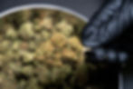 Image by CRYSTALWEED cannabis