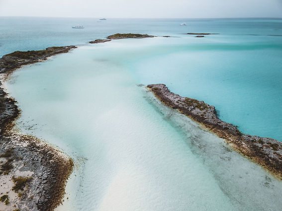 Image by Ryan Geller
