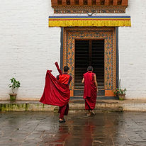 Image by Raul Taciu
