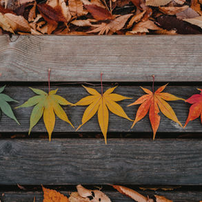     Living In the Seasons- Introduction 