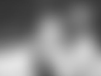 Qual a idade correta para que os herdeiros participem de um Conselho Consultivo?