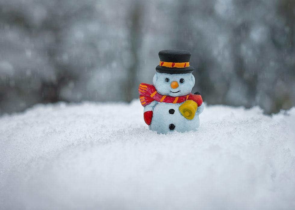 build a snowman as a kids birthday party idea