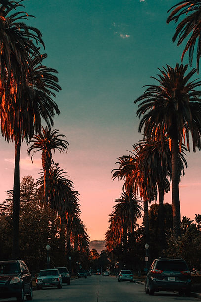 Image by Steven Pahel