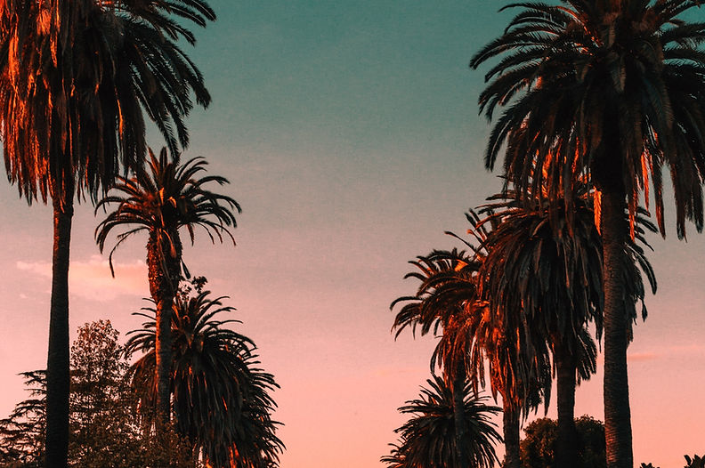 Image by Steven Pahel