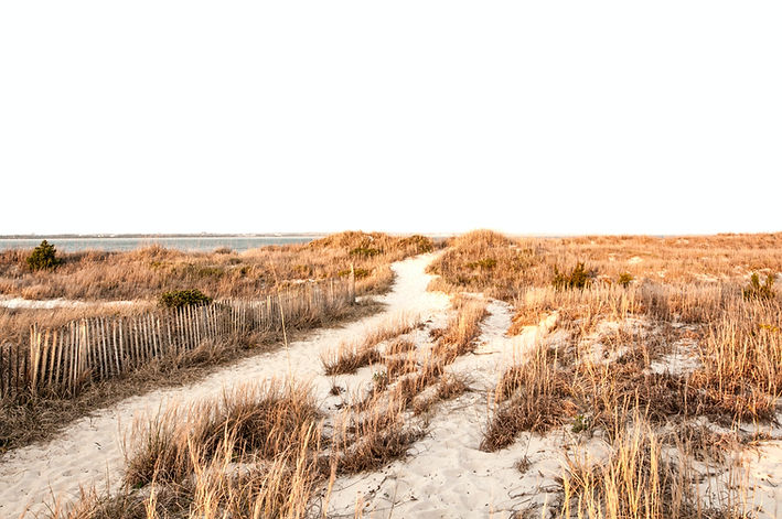 Beach Image by Erda Estremera
