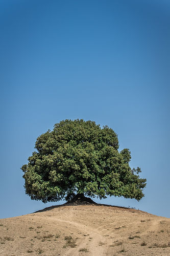 Image by Achim Ruhnau