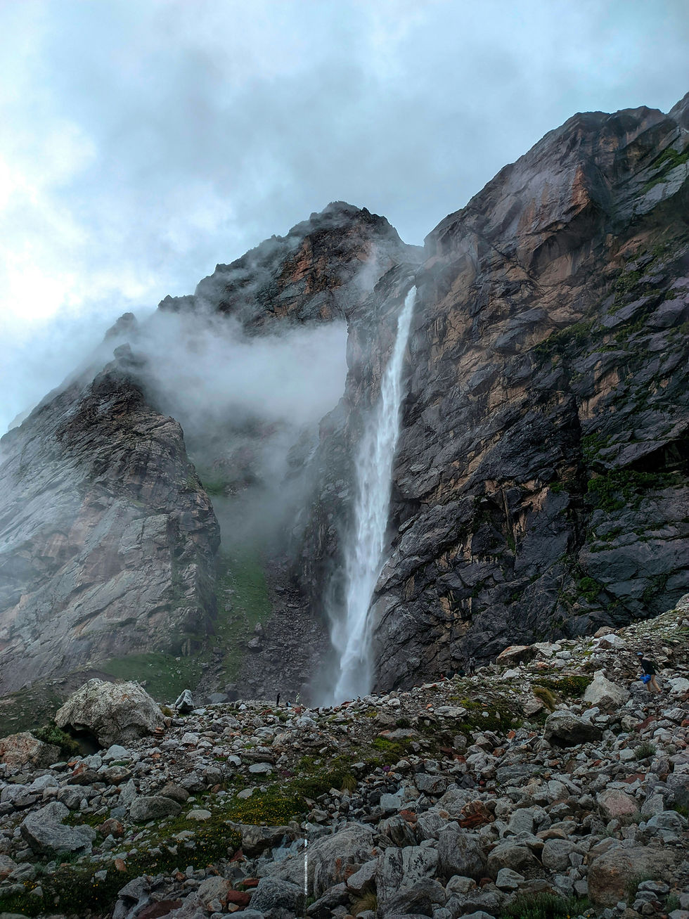 Vasudhara Badrinath
