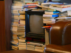 Sua voz me lembra um pássaro voando... 