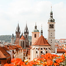 Prague skyline: churches and red flowers