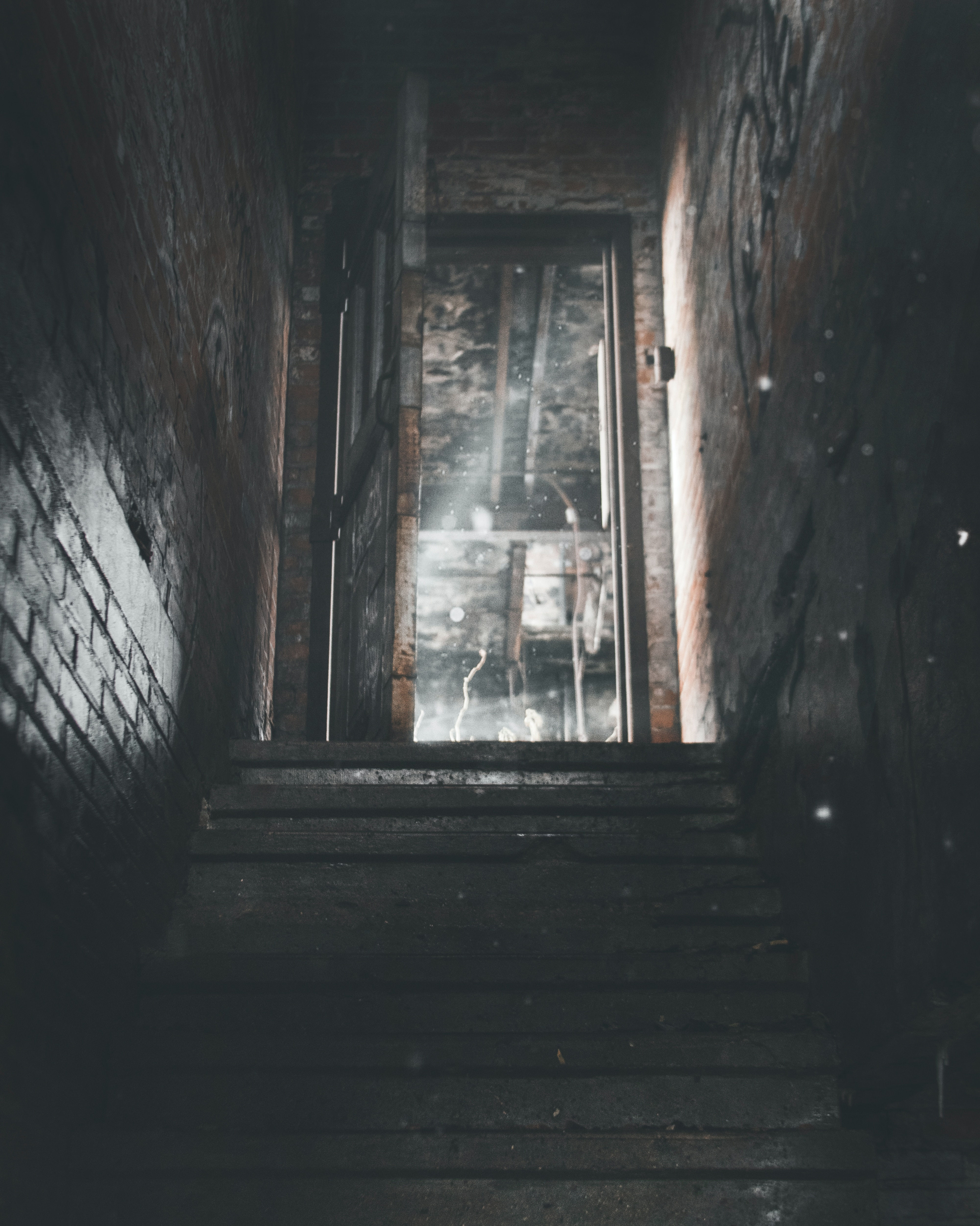 'There's something in my grans basement' short story by C.W.Phoenix digital down