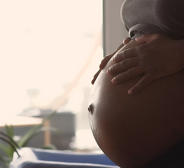 Image by Stefan Lehner