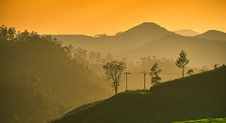 Image by Navi