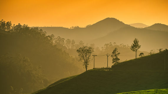 Munnar