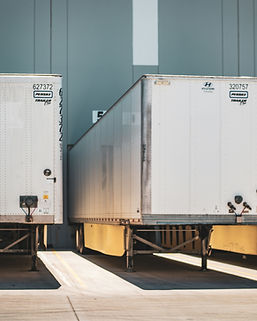 Image by Tom Jackson