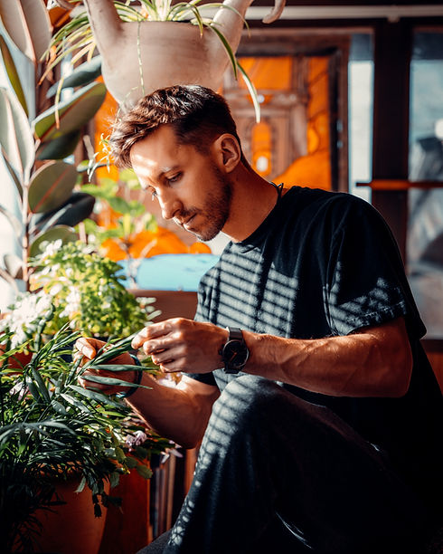 care for your plants and see how to start planting in your home with this care guide