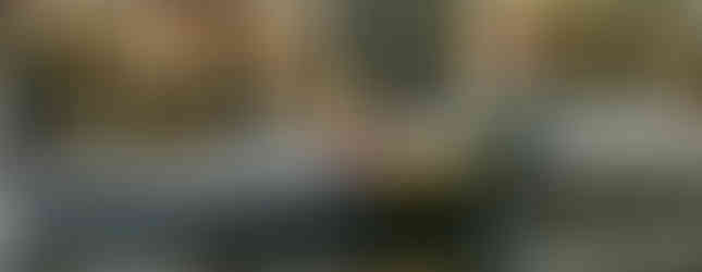 Barcos típicos de Aveiro em destaque