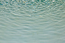 Image by Ryan Waldman