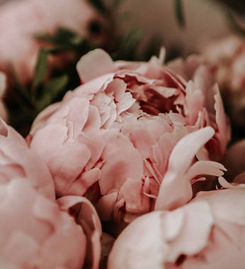 Image by Daria Gordova