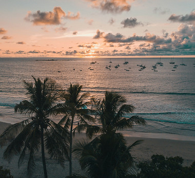 Image by Joseph Piña