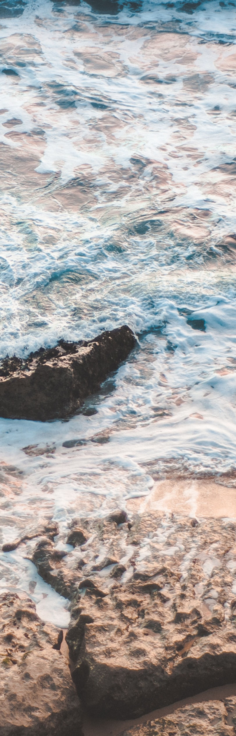 Image by Ricardo Rocha