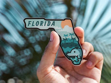 The Other Florida