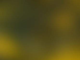 🐟 Tilápia: A Força da Aquicultura em Pauta e a Perspectiva do Agronegócio