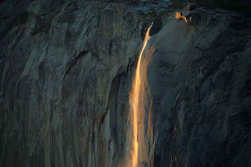 Image by Steve Gribble