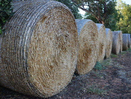 Tidbits, Rolling HTA & Basis Contracts, Acreage and Stocks 6/27/26